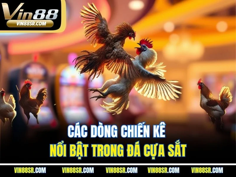 Các dòng chiến kê nổi bật trong đá cựa sắt