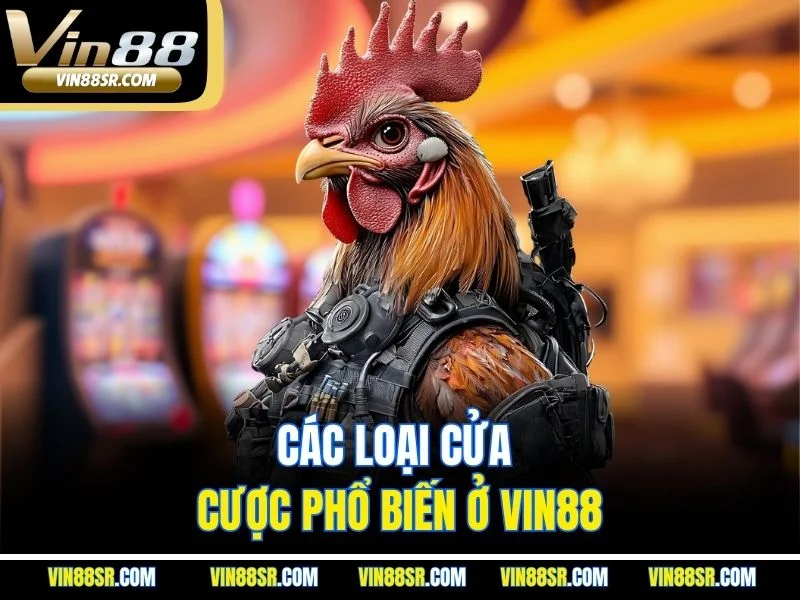 Các loại cửa cược phổ biến ở VIN88