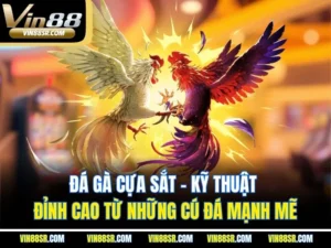 Đá Gà Cựa Sắt – Kỹ Thuật Đỉnh Cao Từ Những Cú Đá Mạnh Mẽ