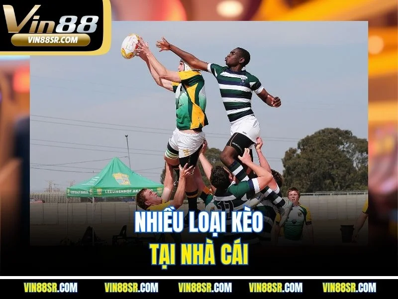 Nhiều loại kèo tại nhà cái 